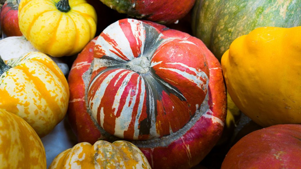 pumpkins-colorful