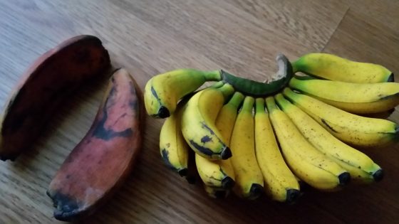 Banana Varieties