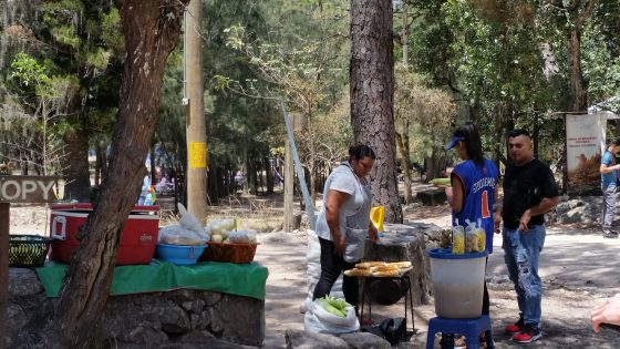 Food vendor