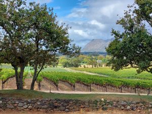 South Africa’s Culinary History through Cooking, Consumption, and Language