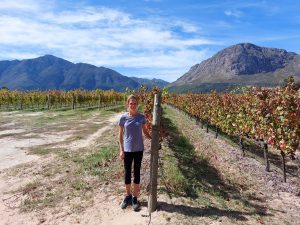 Winelands, South Africa